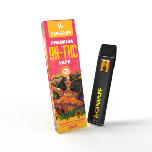 Vape Permanent Marker 95% T9HC1ml Canapuff