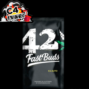 C4 Auto