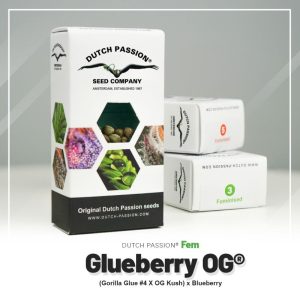 Glueberry o.g (3)