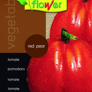 Tomate red pear