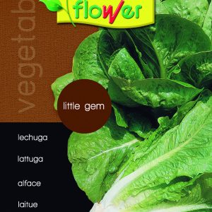 Lechuga little gem