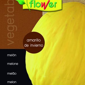 Melón amarillo de invierno