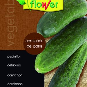 Pepinillo cornichon de París