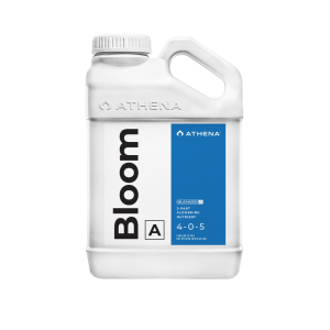 Bloom A 0.94 l