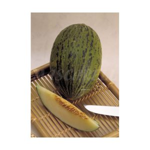 Melon Piel de Sapo