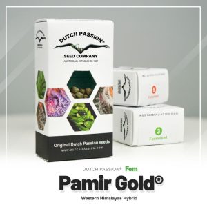 Pamir gold (3)