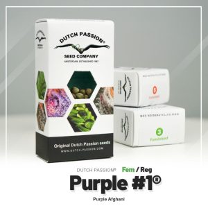 Purple#1 (10)