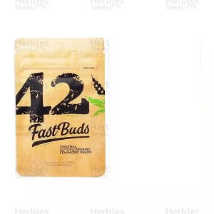 Original Cinderella auto (5) Fastbuds