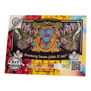 Strawberry Banana Gelato XL auto (3) Sweet Seeds