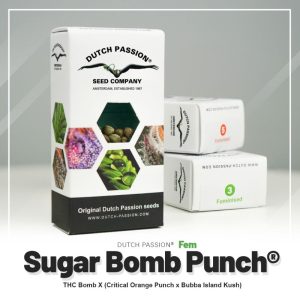 Sugar bomb punch Dutch passion
