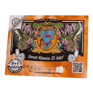 Sweet Mimosa XL auto (3) Sweet Seeds