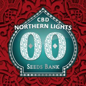 Northern Lights (5)