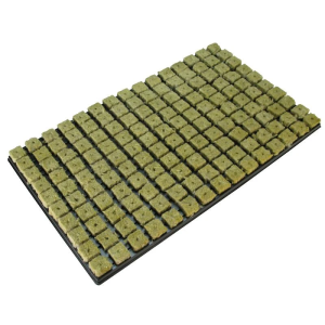 Bandeja 150 plugs Grodan (caja con 18 bandejas)