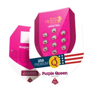 Purple Queen