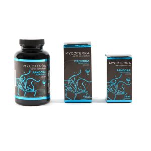 Pandora l 300 ml