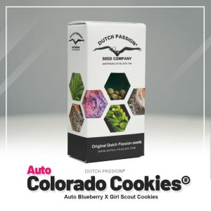 Auto colorado cookies 100% (3)