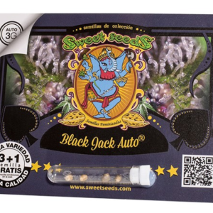 Black Jack Auto