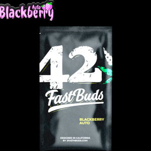Blackberry Auto