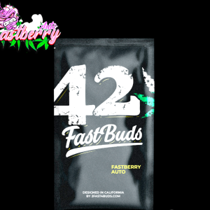 Fastberry Auto