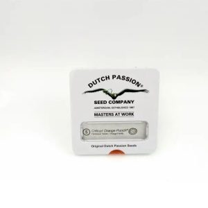 Critical orange punch (5)
