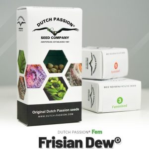 Frisian dew (5)