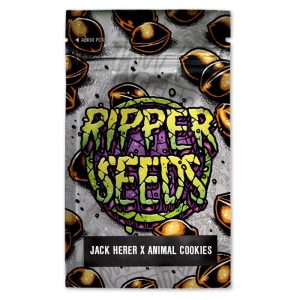 Jack herer x animal cookies (3) Ripper Seeds