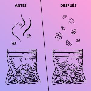 Sobre terpenos Amnesia Hypro 8 g Terpescience