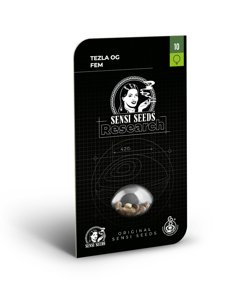 Tezla og (3) 100% Sensi Seeds