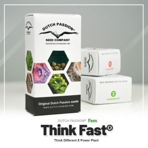 Think fast (3)