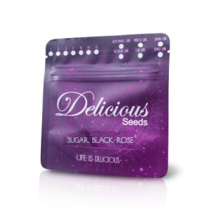 Sugar Black Rose 100% (1) Delicious Seeds