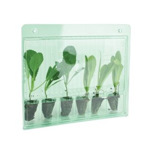 Carrying case for 6 cuttings
