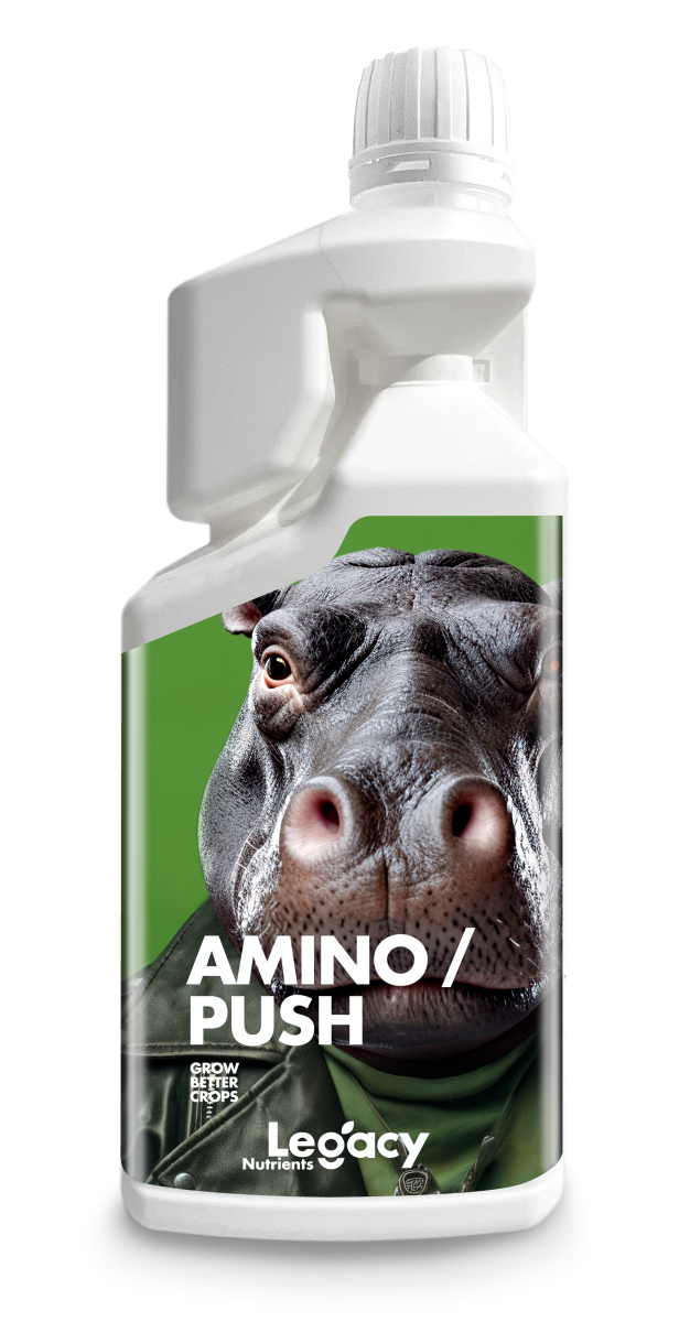 Aminopush 250 ml Legacy