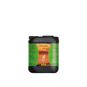 Awa Max A 5 L Atami