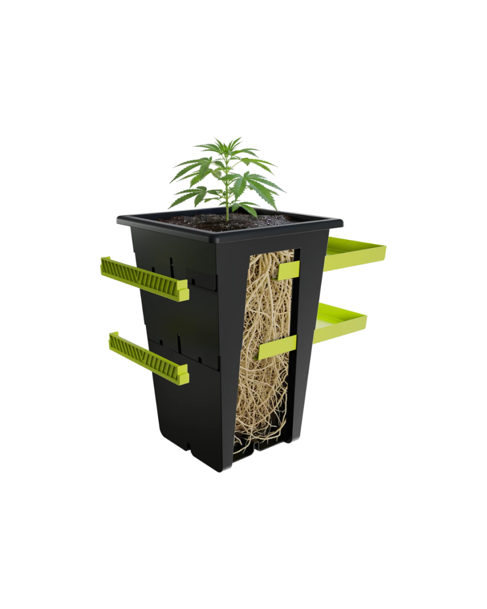 Replant