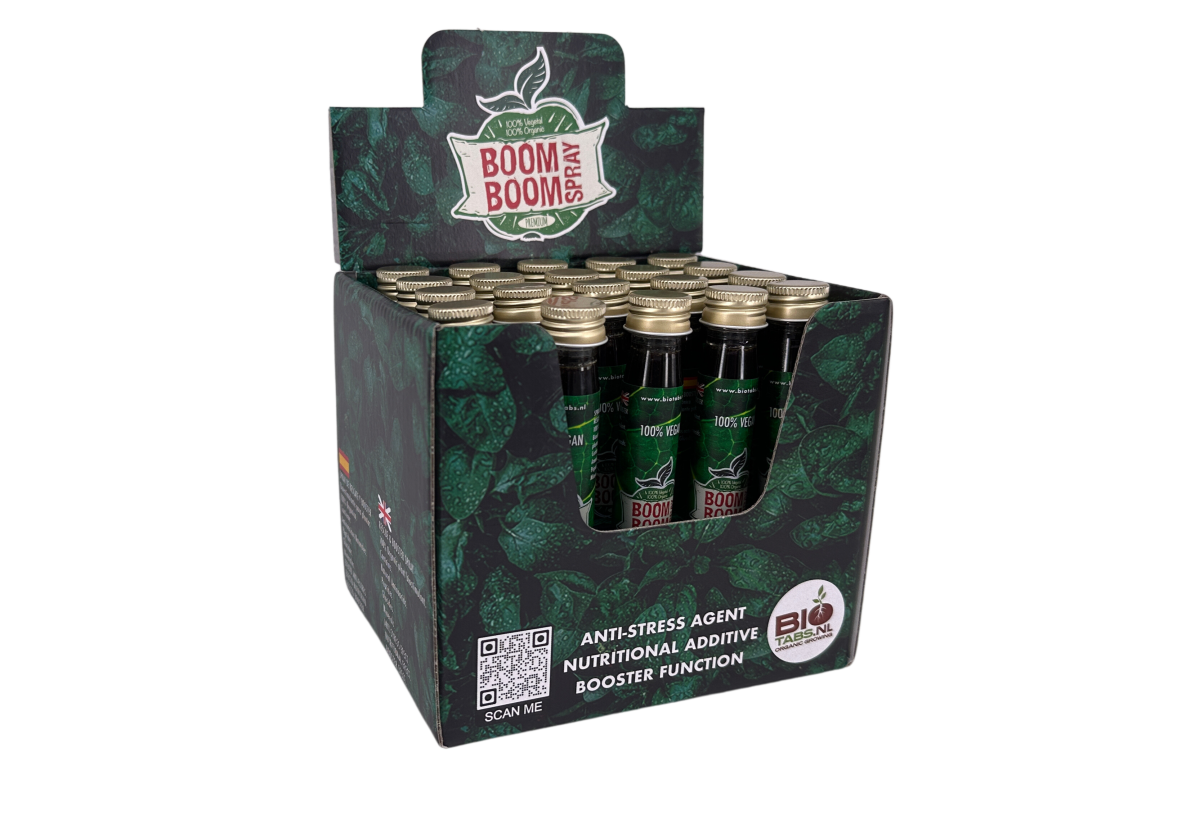 Display Boom Boom spray 20 ml - Image 2