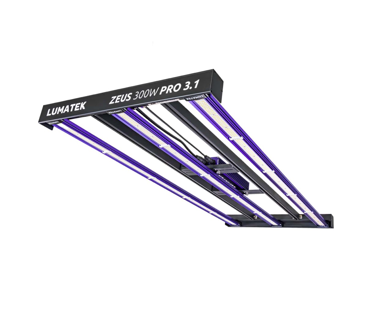 Sistema Led Zeus 300 W Pro 3.1 Lumatek