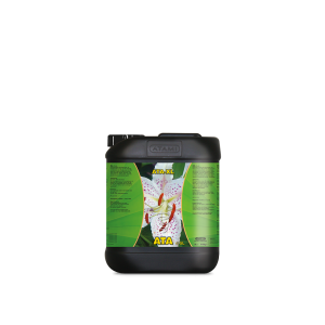 Xl 5 l