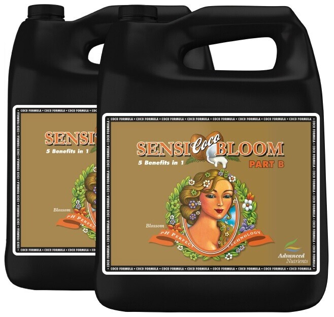 Php conni coco bloom B 5 L