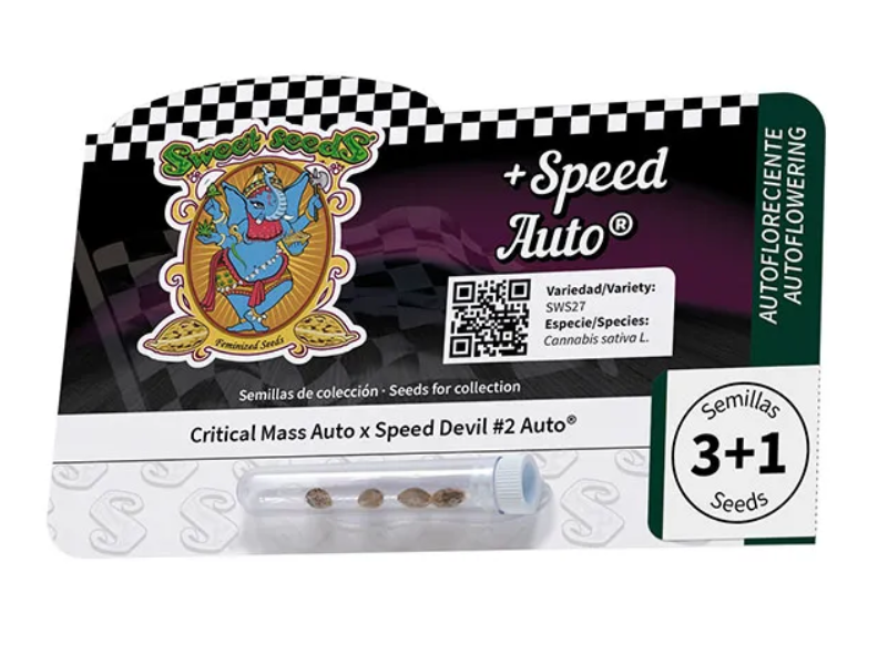 + speed auto (3)
