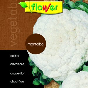 Coliflor Montalba
