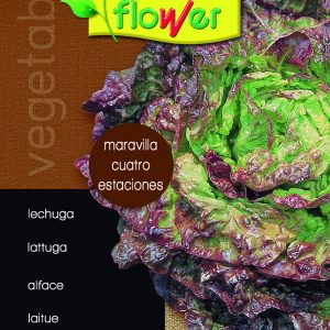 Lechuga Maravilla 4 estaciones