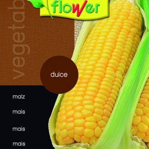 Maiz dulce