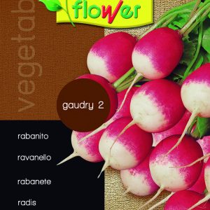 Rabanito Gaudry 2