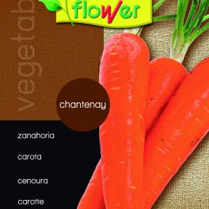 Zanahora chantenay