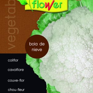 Coliflor bola de nieve