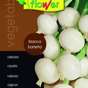 Cebolla blanca Barletta