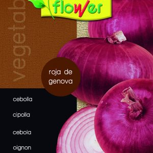 Cebolla roja de Génova