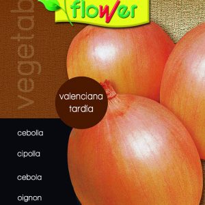 Cebolla valenciana