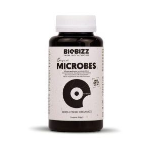 Microbes