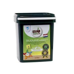 Silicium flash 1250 g